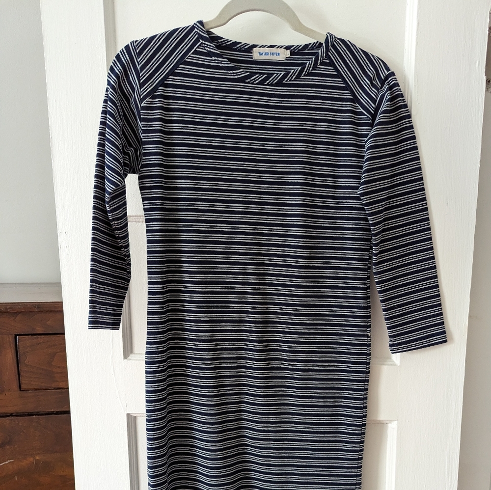 Taylor Stitch Striped Dress